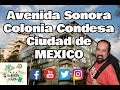 Así es la Av. Sonora en la Colonia CONDESA | CDMX 🇲🇽