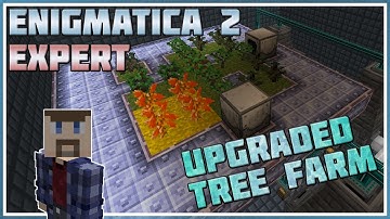 Upgraded My Tree Farm to be Lazy - Minecraft: Enigmatica 2 Expert #22