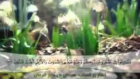تلاوة خاشعة للشاب حمدان بن فايز الرمان رحمه الله