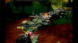 Silkroad Terissimo 19th tg Facespawn [Mercury]