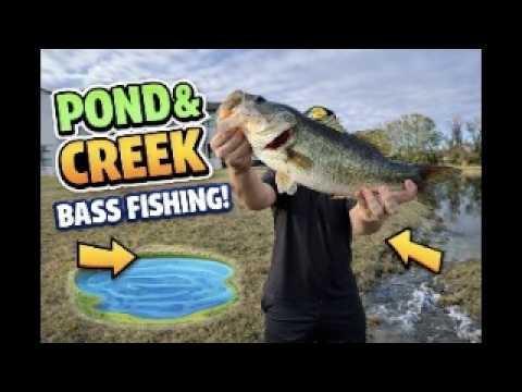Fishing Secret Ponds and Creek in Florida