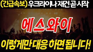 에스와이 긴급속보 우크라이나 재건 곧 시작 이렇게만 대응하면 됩니다