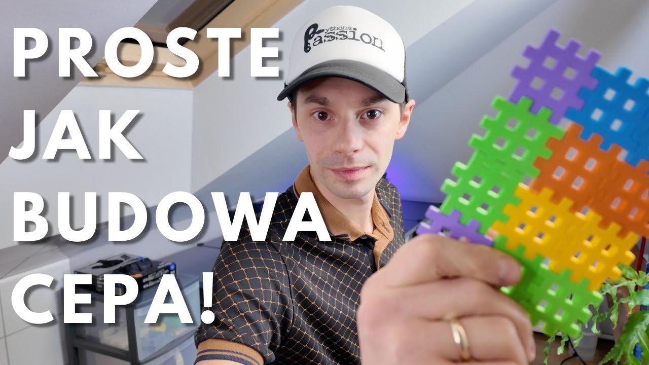 Genetyka Pytonów Królewskich – od Zera do Znawcy, w końcu to zrozumiesz!