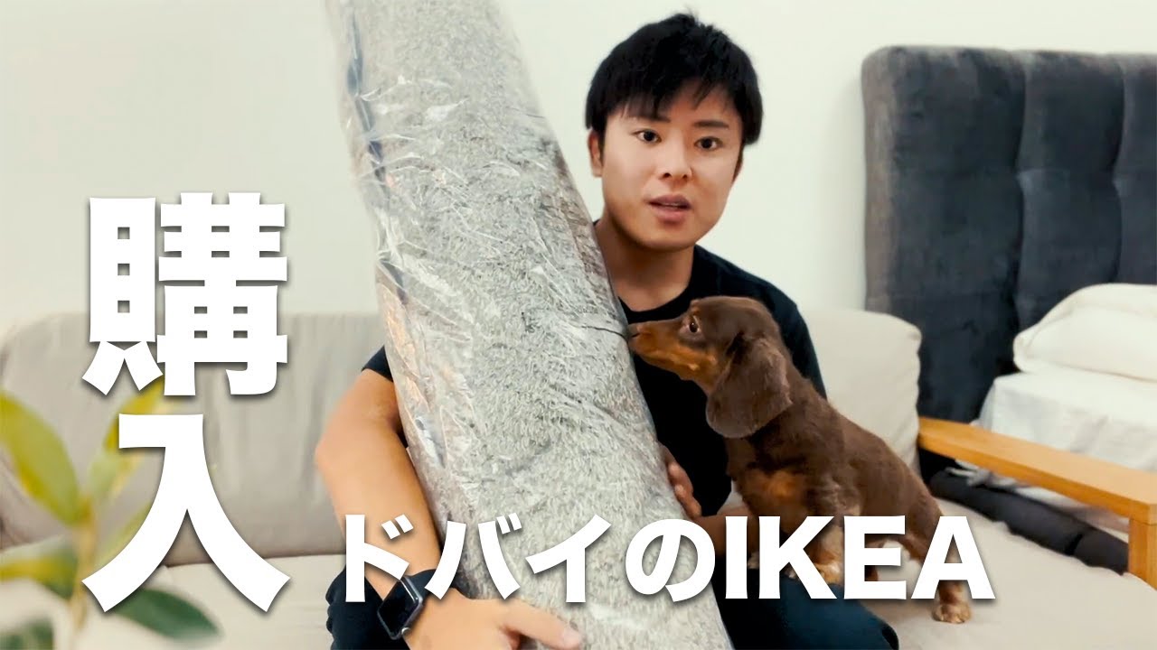 【ドバイ】犬の怪我防止のために2m×3mのカーペットをIKEAで購入しました