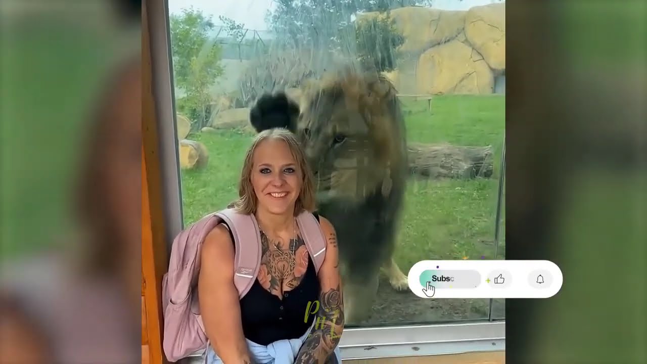 Dog funny video 😂