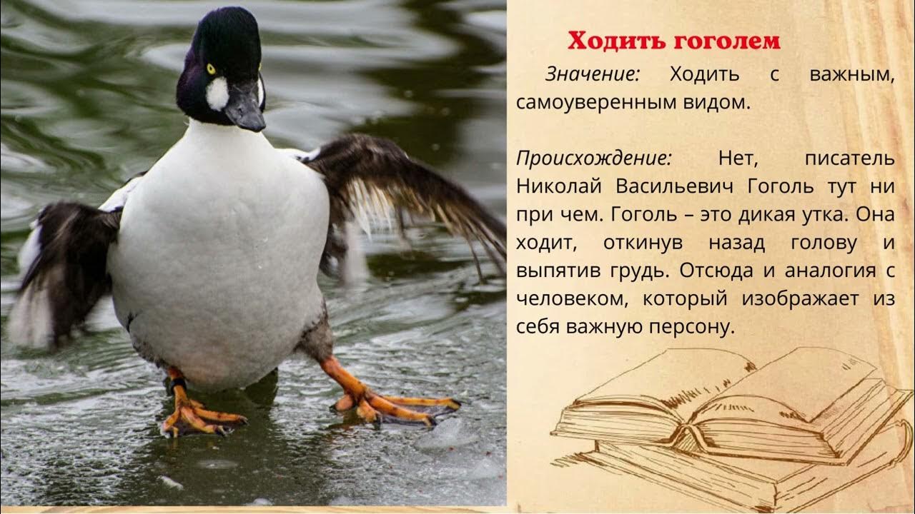 Окрыленная проза 6 букв сканворд. Лёгкие кроссворды для взрослых. Кроссворд легкий. Библейские сканворды для детей. Окрыленная проза 6 букв сканворд.
