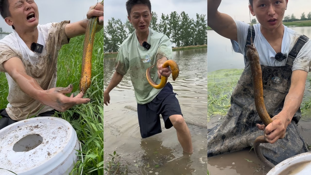 水猴子花400元包塘抓黄鳝，次次被盘次次干总有一天会上岸！