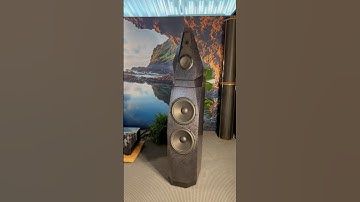 AVALON ACOUSTICS SAGA SPEAKERS ❤️#audiophile #highend #audio #stereo #sound #hifi #setup #hiend