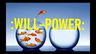 Celebrity :PARSE-DATA-~EIGHT-TEEN/18: VOLITION-POWER. Profile