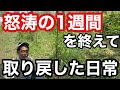 【近況と感想】乗っ取り&垢バン騒動〜この1週間で得たものと被害について《ちょこっと自給農/アカウント乗っ取り/復旧》
