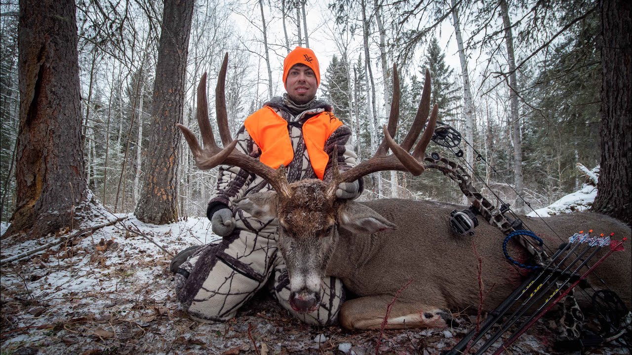 Giant Saskatchewan Archery Whitetail Pierceland Outfitters YouTube