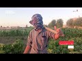 دير الزور.. شكاوى من رفع سعر الكهرباء للجمعيات الفلاحية