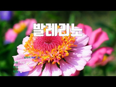 [은성반주기] 발레리노(Balleino) - 리쌍.알리(ALI) /악보/MR/가사
