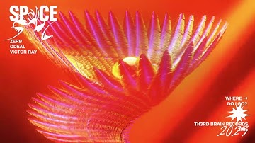 Zerb, Odeal, Victor Ray - Space (Official Audio)