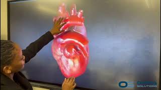 Celebrity Clevertouch Interactive Smartboard - Highlights Video Profile