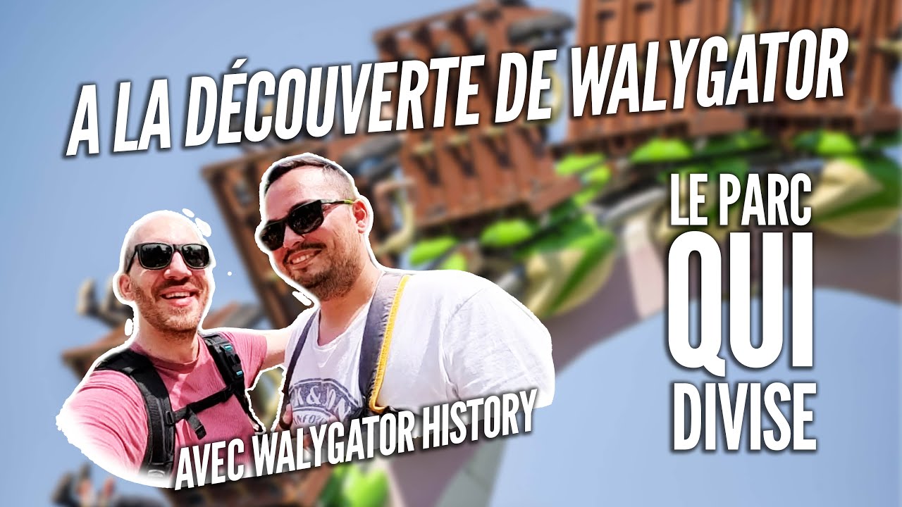 WALYGATOR : Pourquoi tout le monde critique ? UN DEBUT DE PISTE !