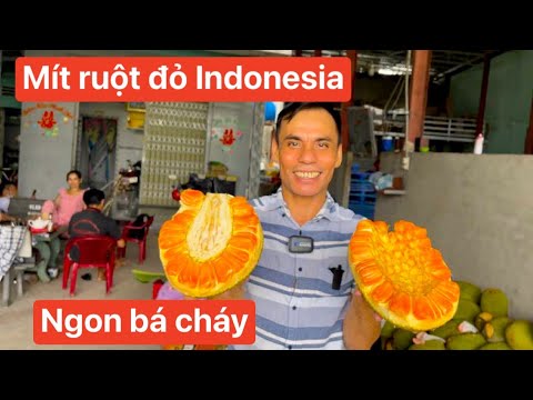 Video Thực hư mít thái ruột đỏ indonesia có ngon như lời... - youtube