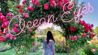 NorCal Roadtrip (Ocean Eyes Astronomy Remix - Billie Eilish)