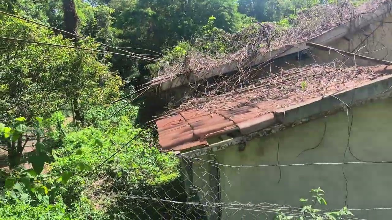 Escola em ruínas na ilha grande 