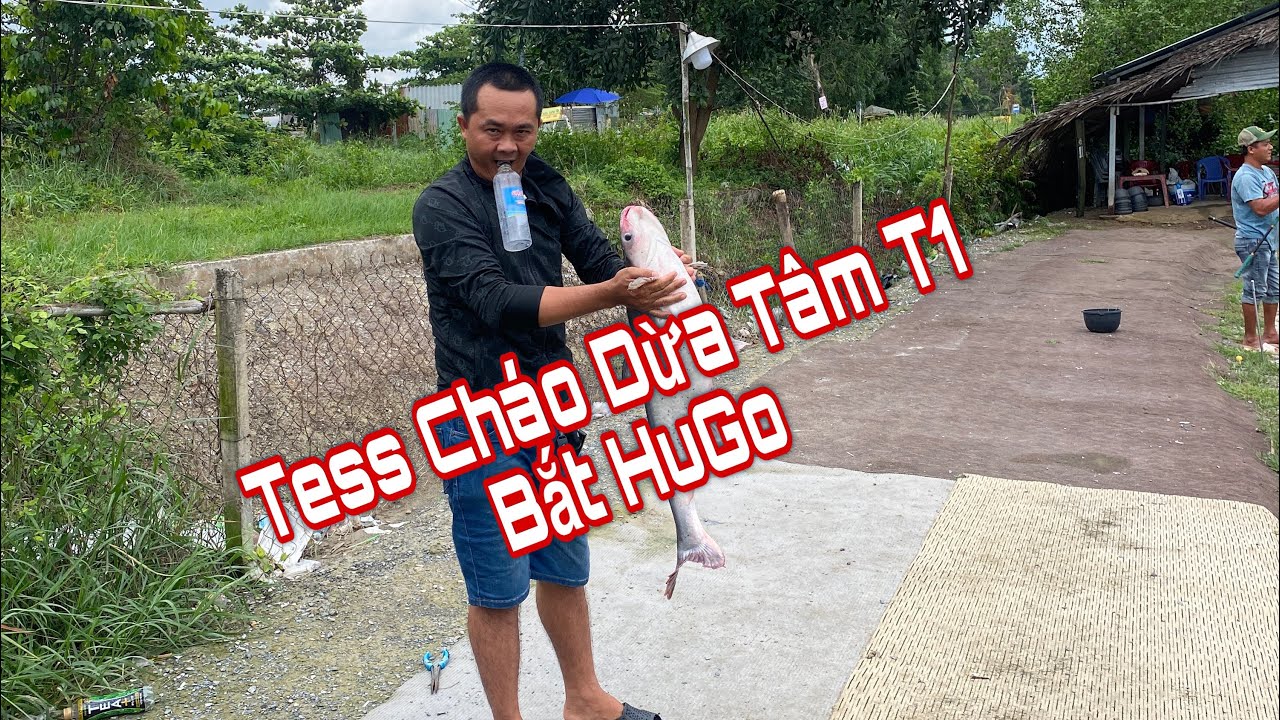 Tess Cháo Dừa Tâm T1.Hồ Hoàng Bá . Q9