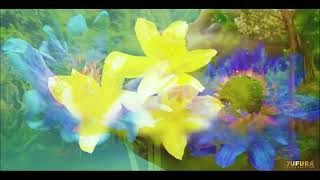 Free Feel Good Music Promotional Video, Flowing Streams And Blossoming Summer 2025.