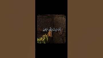 القارئ ياسر الدوسري | سورة الزمر | آلايات 30-31#ياسر_الدوسري #سورة_الزمر #قرآن #اكسبلور #أطمئن #لايك