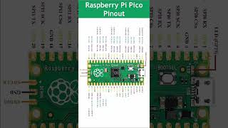 Respberry Pi Pico Pinout #project #discovery #microcontroller #robotics #raspberrypi #diy #arduino