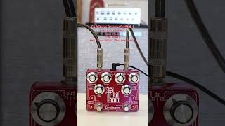 TSとBlues Breakerを1台に！Pedal Pawn REDPRINT #in30seconds_lep