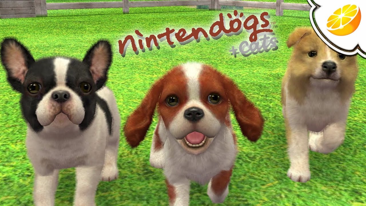 edderkop skarpt vejspærring Nintendogs + Cats: French Bulldog & New Friends | Citra Emulator Canary 451  (GPU Shaders) | 3DS - YouTube