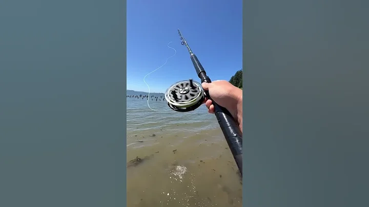 What would you catch with this? - DayDayNews