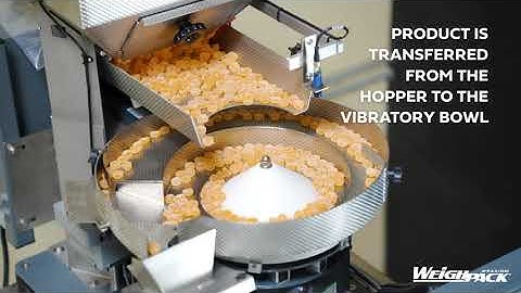 Gummy Counting and Pouch Filling System