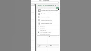 Cómo ORDENAR los CAMPOS de una TABLA DINÁMICA en EXCEL | #shorts