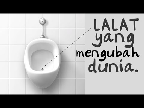 Lalat dan ekonomi perilaku