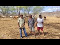 VISITANDO A FAZENDA VOLTA GRANDE NO SERTÃO PERNAMBUCANO CRIAÇÃO DE GADO  BODE E OVELHAS.