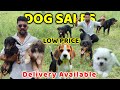 Dog For Sales/Puppy's Price List/Delivery Available/Nanga Romba Busy/NRB.