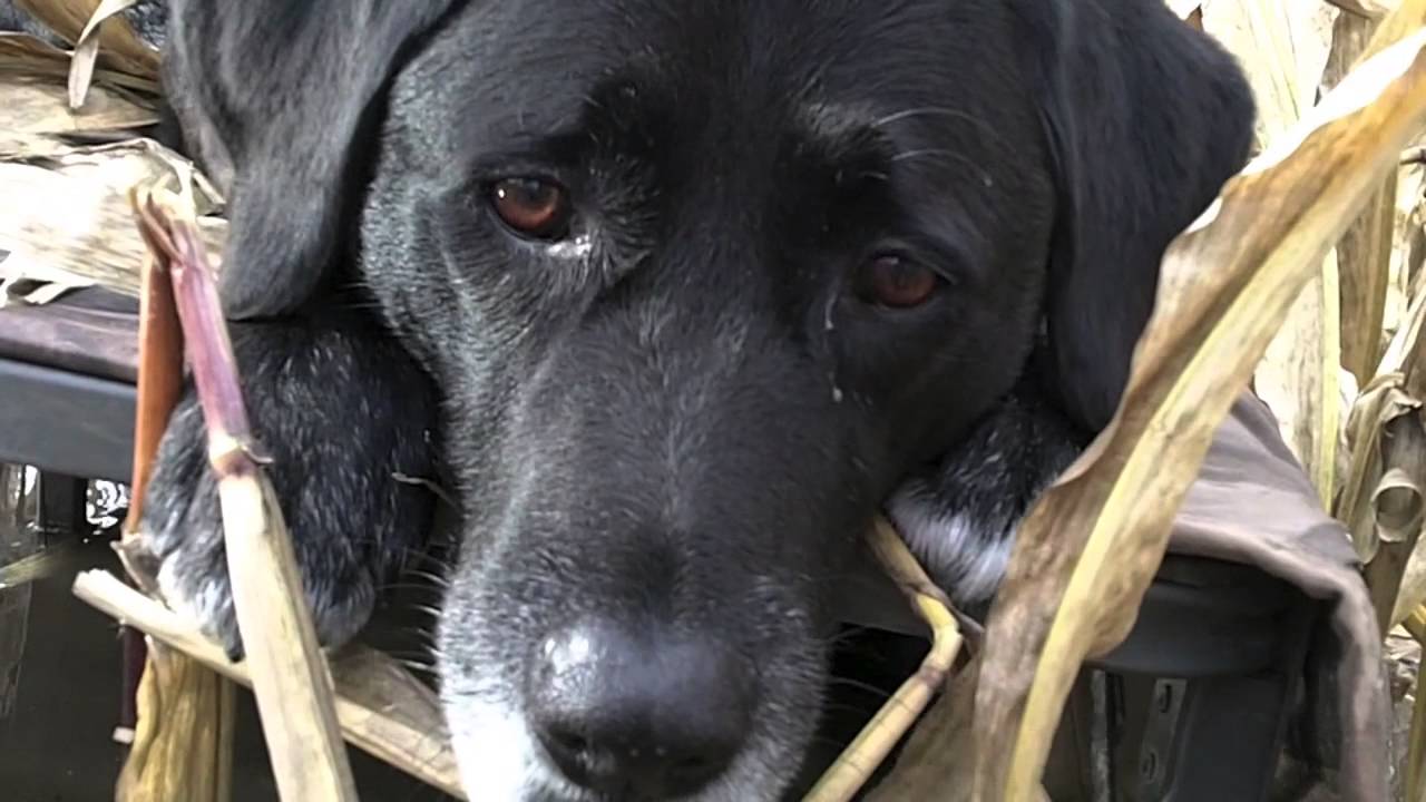 Tenzing Outdoors WF13 Waterfowl Bag gets put through the wringer by the best in the business