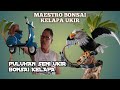 BONSAI KELAPA UKIR INSPIRASI INDONESIA/CARVED COCONUT BONSAI