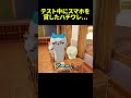 テスト中にスマホを貸したハチワレ... #ちいかわ