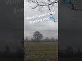 Out in the freezing cold decoying Wood Pigeon #pigeonshooting #hunting #decoy
