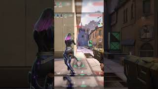 Did They Want To Rotate?