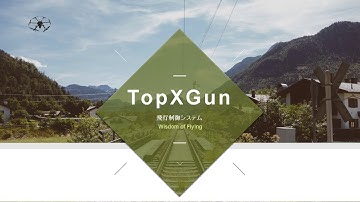 TopXgun/Wisdom of Flying
