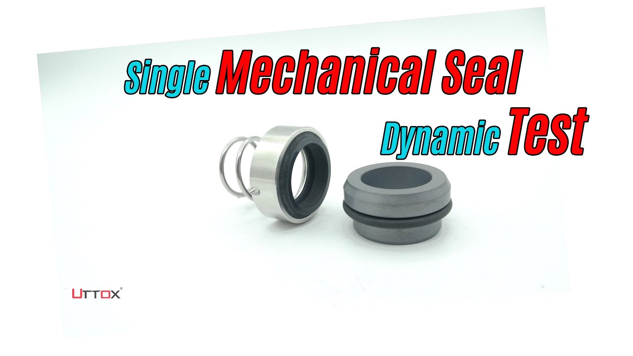Single Mechanical Seal Dynamic Test