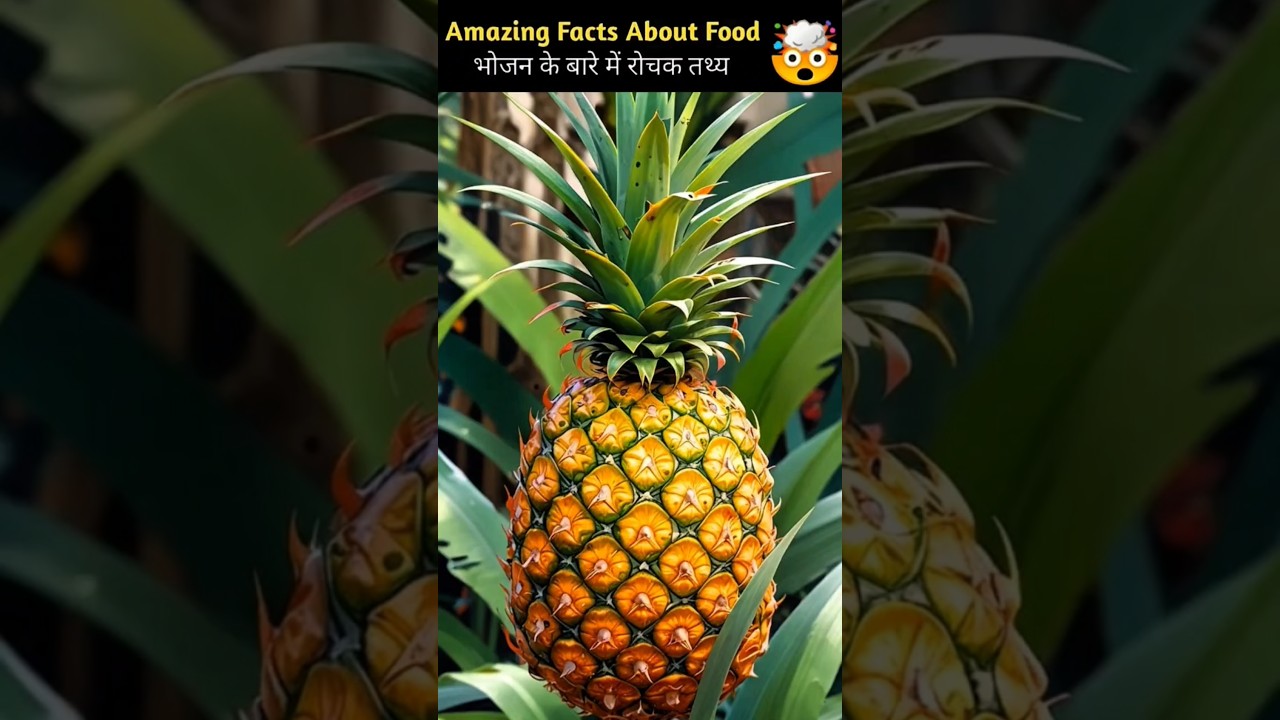 भोजन के रोचक तथ्य 🤯🍒 | Amazing Facts about Food in Hindi | 