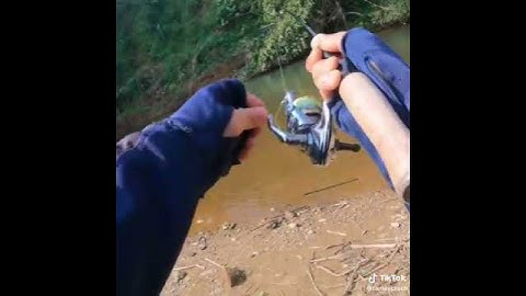 #caucachaydat mùa đông