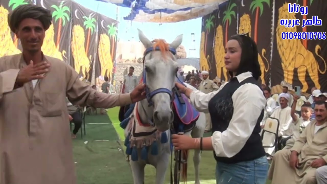 دكتور شهد بنت السنبلاوين مع فيديو روتانا طاهر عريبة 01098010706