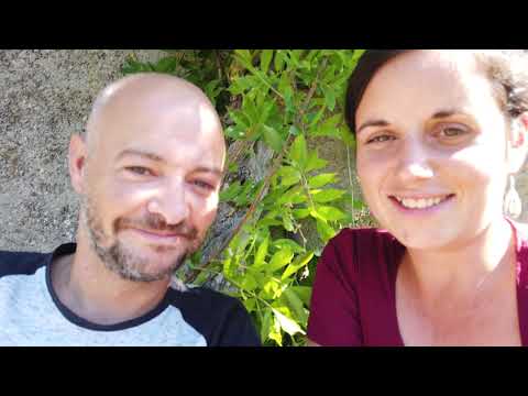 La Roseraie - Our French Adventure - Will We Survive!?  End of Summer Update
