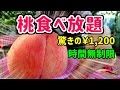 【桃食べ放題】フレッシュな桃を破格のお値段で何個でも食べ放題！どんなスイーツにも負けない天然桃の甘さは最強！！