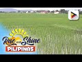 Unang fertilizer plant sa Pilipinas, itatayo na