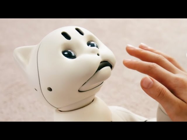 Robot Cat Uses AI To Learn About You And Your Home - YouTube