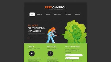 Pest Control Responsive Website Template - 43768